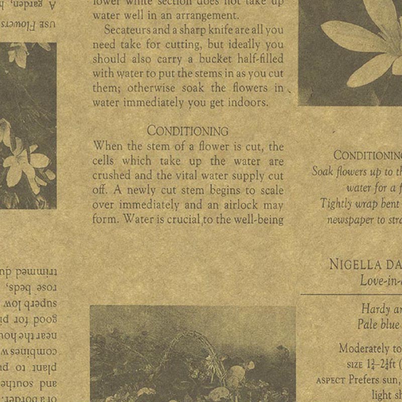 ササガワ 包装紙 半才判 カーディアングレー茶 50枚 49-1421 1包(ご注文単位1包)【直送品】