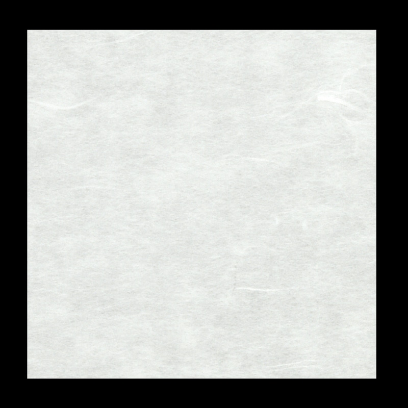 大黒工業 シースル掛紙 無地 260角 100枚/袋（ご注文単位1袋)【直送品】