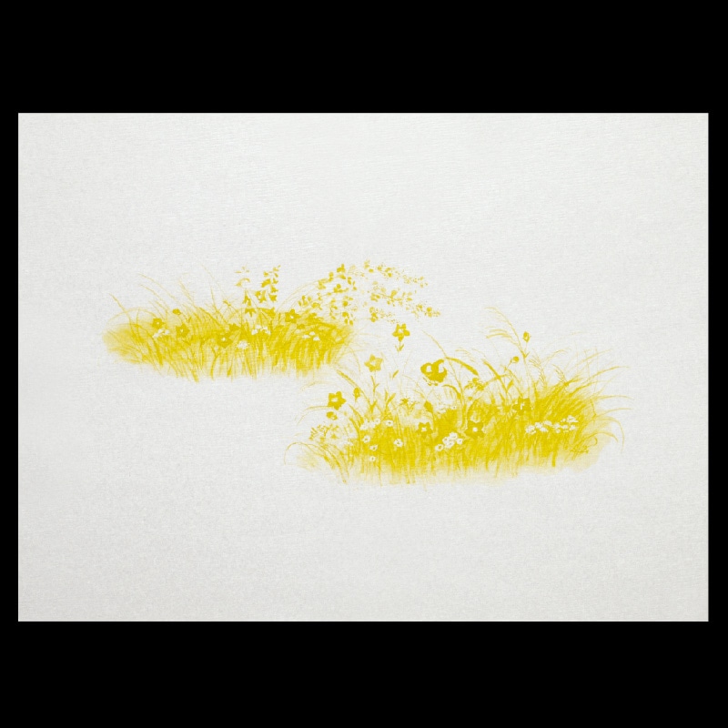 大黒工業 膳掛紙 533 100枚/袋（ご注文単位1袋)【直送品】