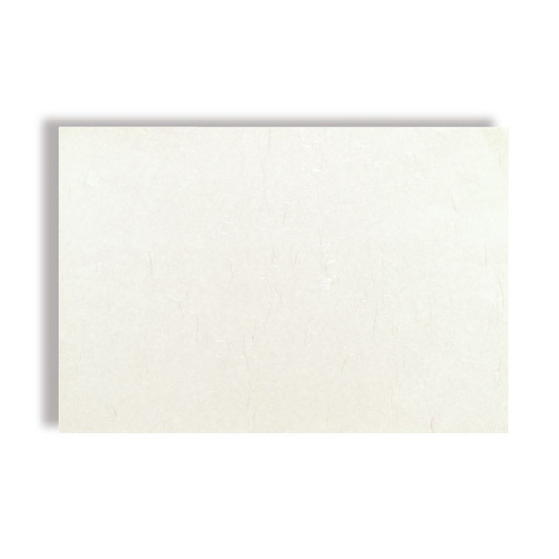 大黒工業 テーブルマット 832 銀龍 無地 No.832  100枚/袋（ご注文単位1袋)【直送品】