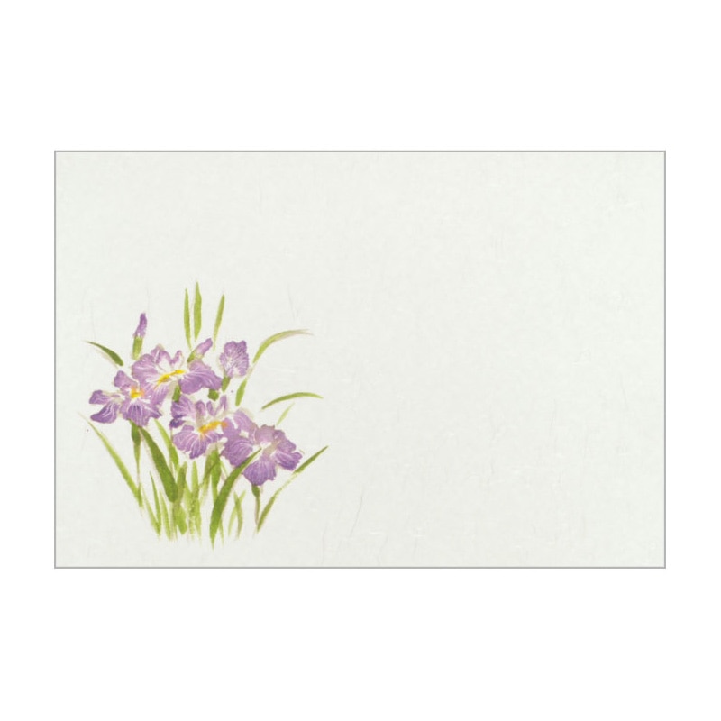 大黒工業 テーブルマット #952 アヤメ 100枚/袋（ご注文単位1袋)【直送品】