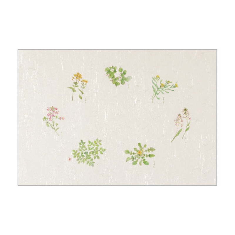 大黒工業 テーブルマット T-102 春の七草 100枚/袋(ご注文単位1袋)【直送品】