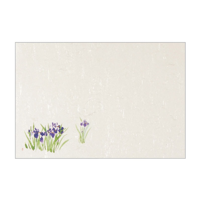 大黒工業 テーブルマット T-110 燕子花 100枚/袋(ご注文単位1袋)【直送品】