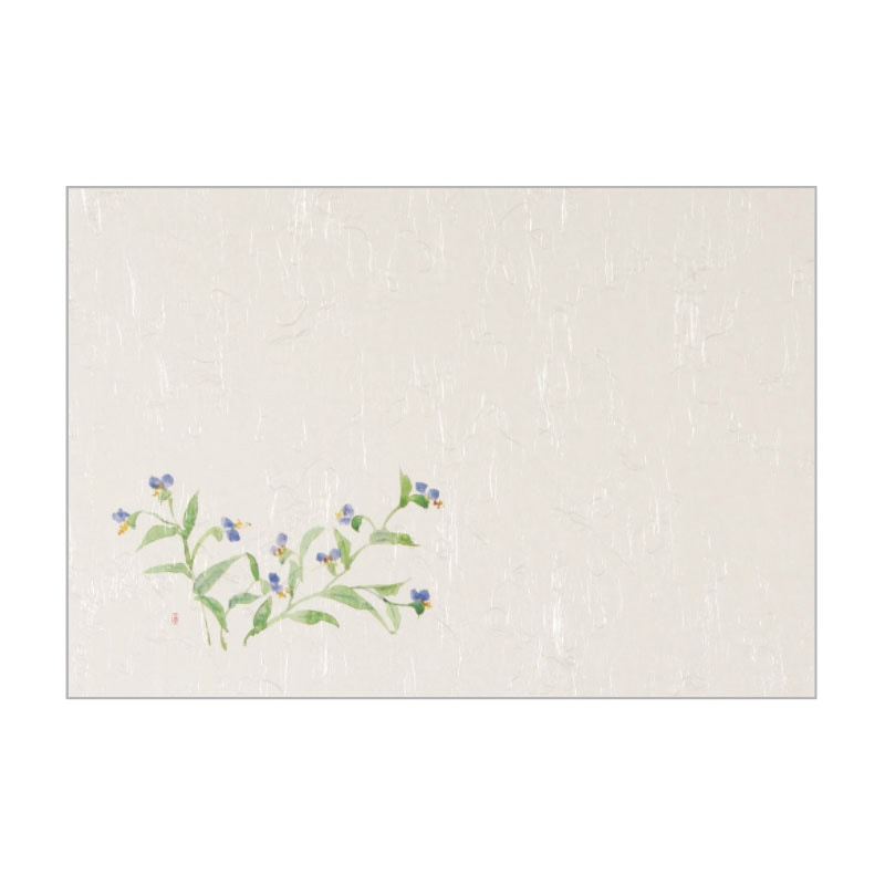 大黒工業 テーブルマット T-115 露草 100枚/袋（ご注文単位1袋)【直送品】