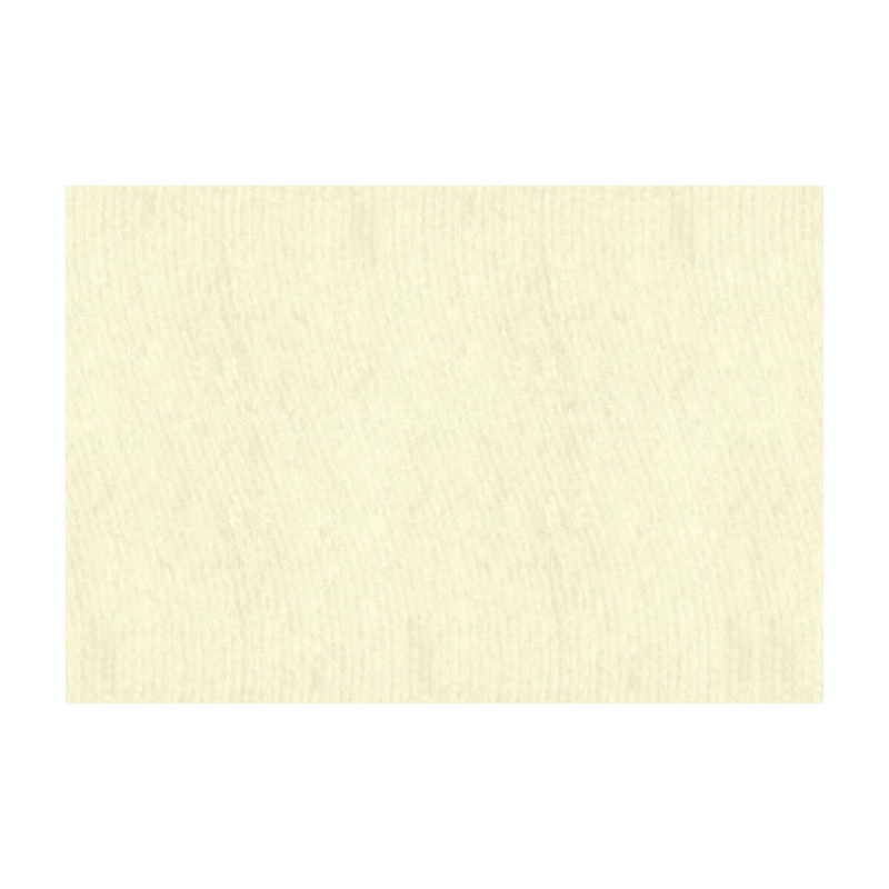 大黒工業 テーブルマット WAGAMI 48 No.48 100枚/袋（ご注文単位1袋)【直送品】