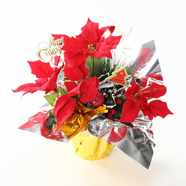 フローレックス ポインセチアアレンジ PA-187 1個(ご注文単位1個)【直送品】