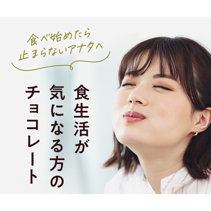 不二製油ソヤファームクラブ ヘルシーカカオ シュガーレス 345g 1袋 ※軽(ご注文単位1袋)【直送品】