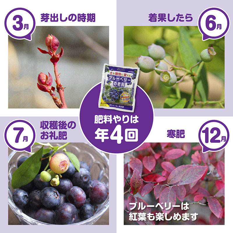 花ごころ ブルーベリーの肥料 500g 5340 1袋（ご注文単位40袋）【直送品】
