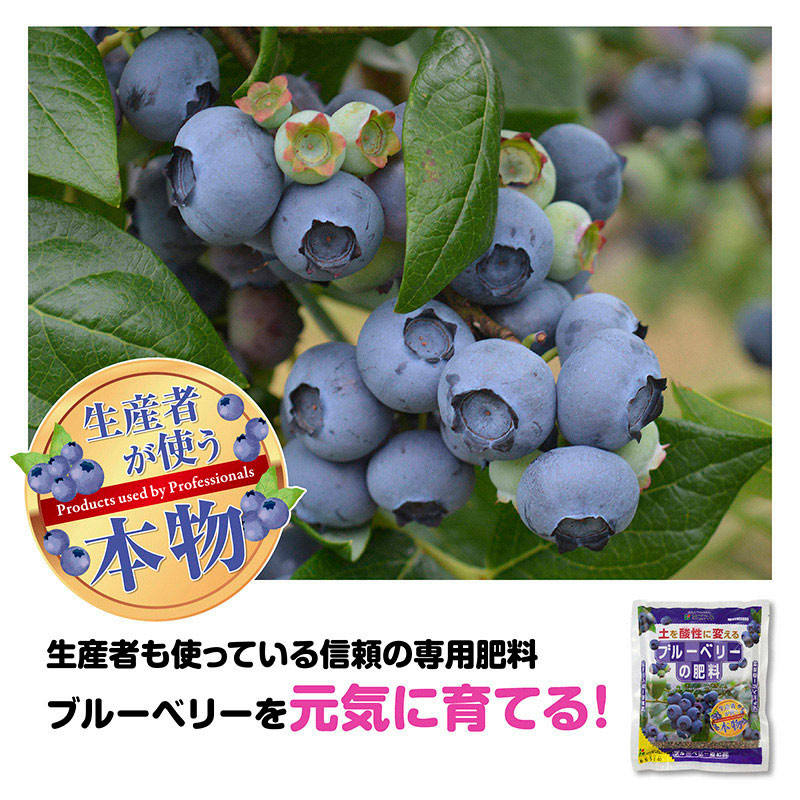 花ごころ ブルーベリーの肥料 500g 5340 1袋（ご注文単位40袋）【直送品】