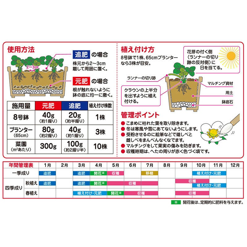 花ごころ 甘いイチゴをつくる肥料 500g 5370 1袋（ご注文単位40袋）【直送品】