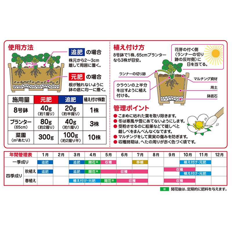 花ごころ 甘いイチゴをつくる肥料 2kg 5380 1袋(ご注文単位10袋)【直送品】