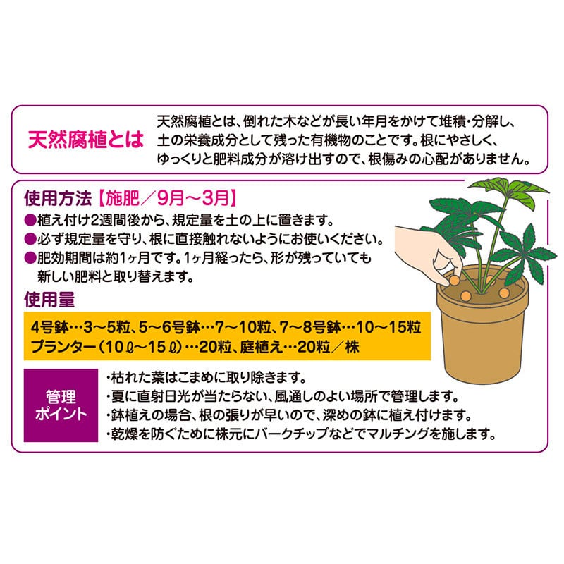 花ごころ クリスマスローズの肥料 700g 5720 1袋(ご注文単位25袋)【直送品】