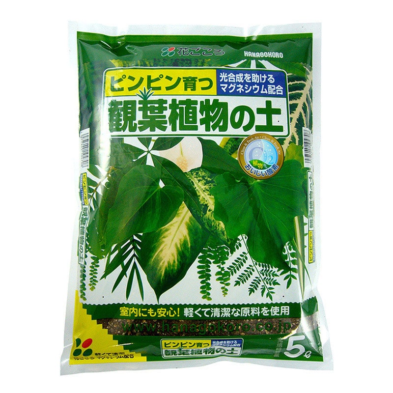 花ごころ 観葉植物の土 5L 9740 1袋（ご注文単位8袋）【直送品】