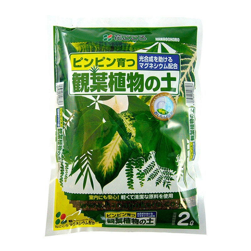 花ごころ 観葉植物の土 2L 9730 1袋（ご注文単位20袋）【直送品】