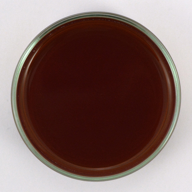 花ごころ 有機プラス液肥 トップワン 800ml 11100 1本(ご注文単位20本)【直送品】