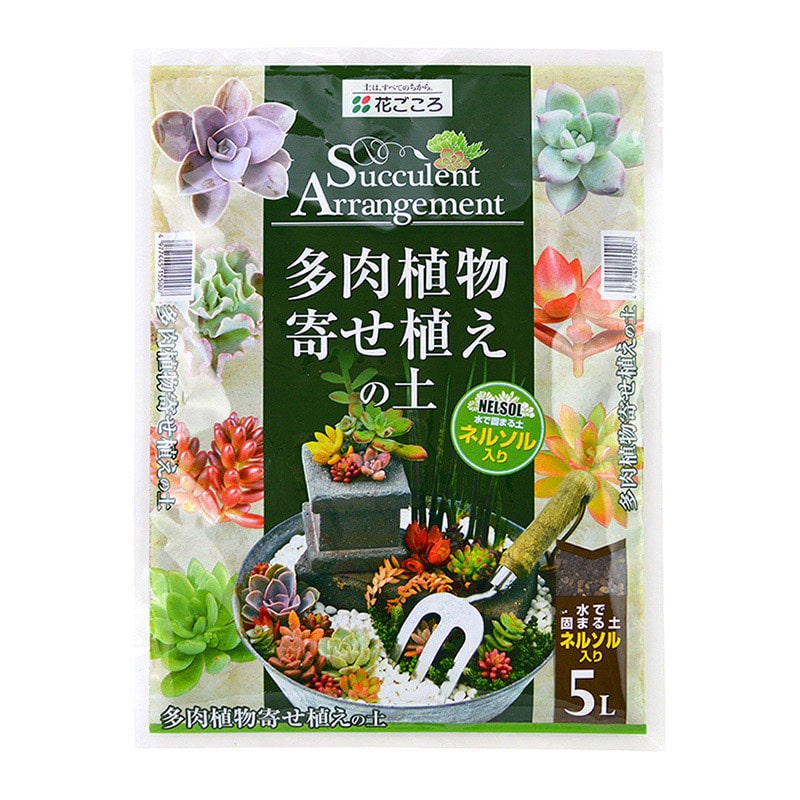 花ごころ 多肉植物寄せ植えの土 5L 15500 1袋（ご注文単位8袋）【直送品】
