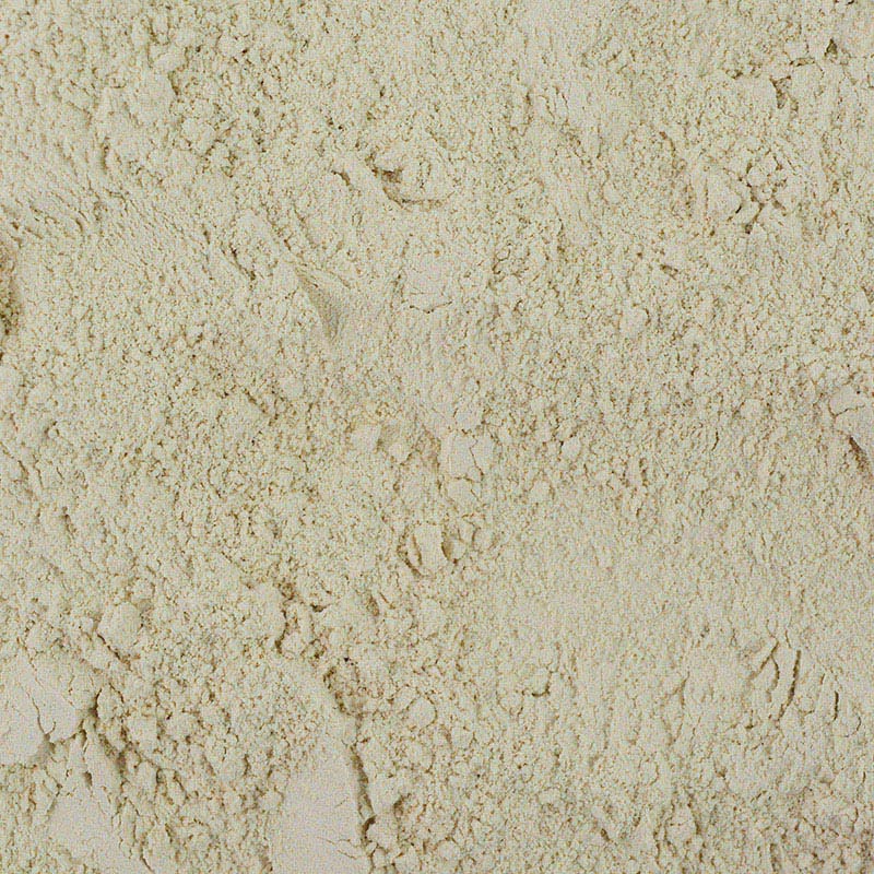 花ごころ Let’s　苦土石灰 500g 20570 1袋（ご注文単位40袋）【直送品】