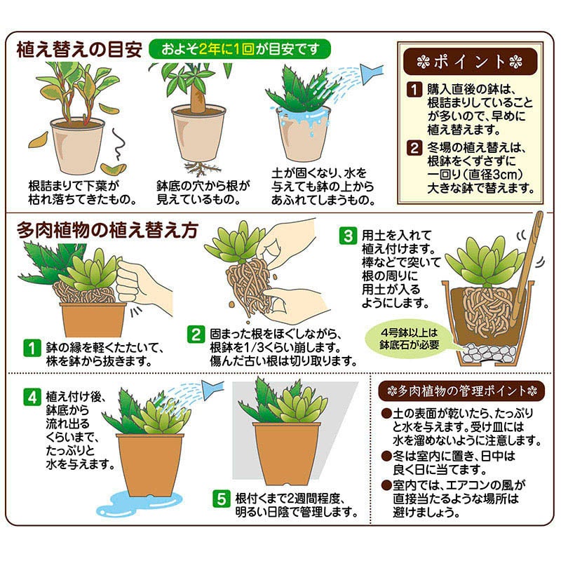 花ごころ 多肉植物&ミニ観葉植物の土 1L 20700 1袋(ご注文単位30袋)【直送品】