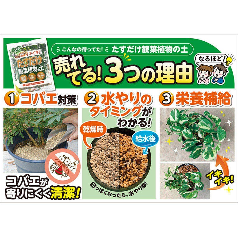 花ごころ たすだけ観葉植物の土 3L 20740 1袋（ご注文単位16袋）【直送品】