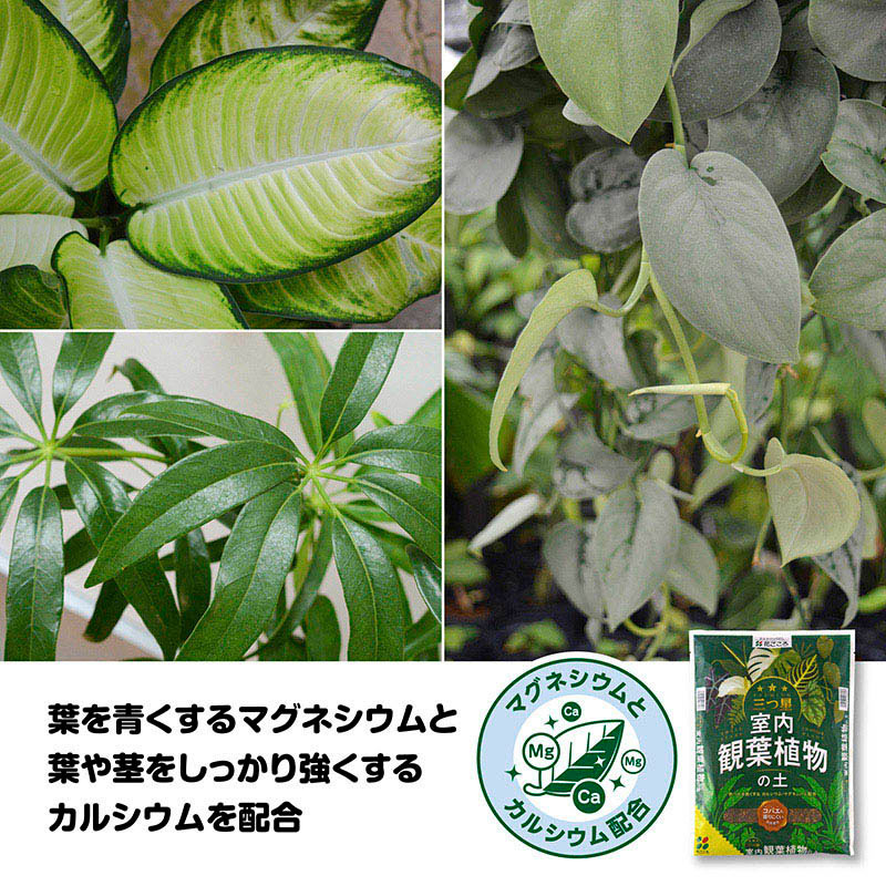 花ごころ 三つ星 室内観葉植物の土 5L 20750 1袋(ご注文単位8袋)【直送品】