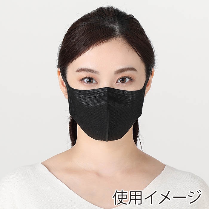 日本マスク 3D立体不織布マスク THE MASK 30枚 ブラック N005 1個(ご注文単位60個)【直送品】