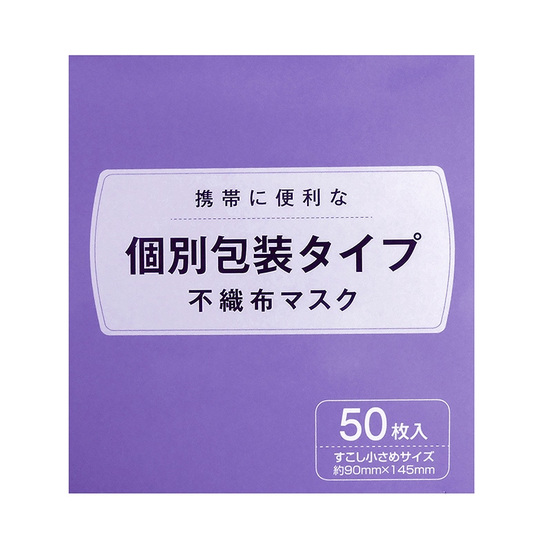 日本マスク 個別包装不織布マスク すこし小さめサイズ 50枚 1個(ご注文単位40個)【直送品】