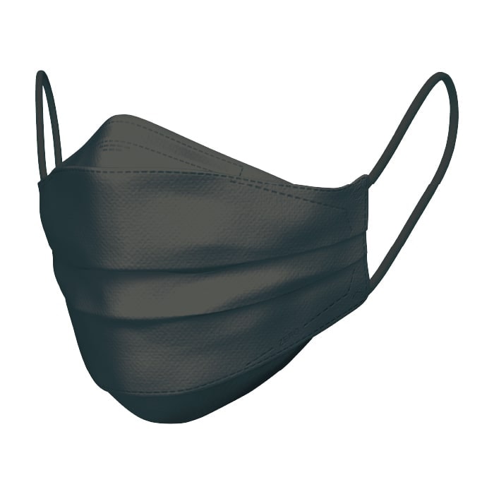 日本マスク 不織布マスク イーズマスク ゼロ ディープブラック レギュラー 5枚 E023 1袋(ご注文単位200袋)【直送品】