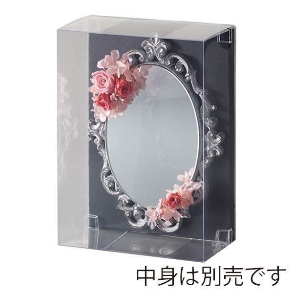 クレイ クリアケース クリア 860-025-000 1個（ご注文単位1個）【直送品】