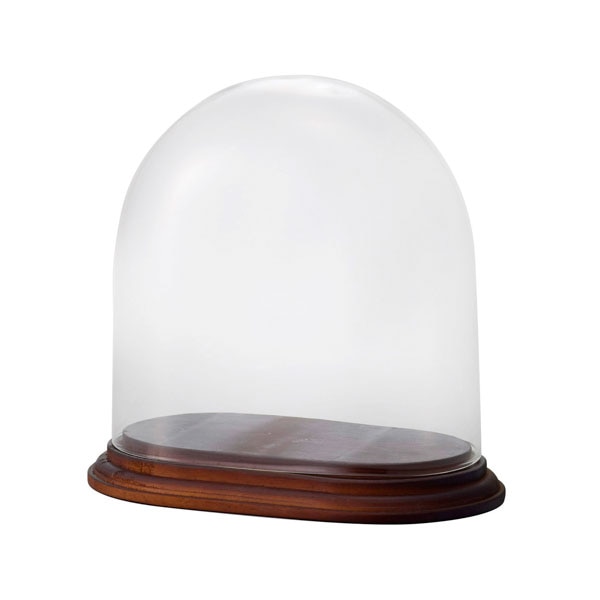 クレイ オーバルガラスドーム ウィズウッド クリア 777-173-202 1個(ご注文単位1個)【直送品】