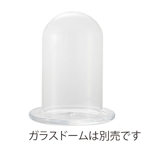 クレイ ガラスプレート ガラスソーサー クリア 777-153-000 1箱(ご注文単位1箱)【直送品】