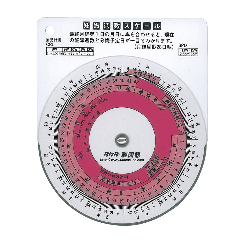 妊娠週数スケール 25-3035 1個(ご注文単位1個)【直送品】