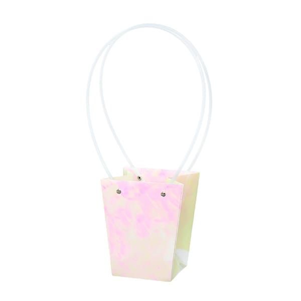 大橋新治商店 ペーパーバッグ オーロラ D4号 18-124 1個（ご注文単位10個）【直送品】