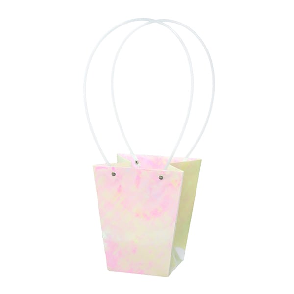 大橋新治商店 ペーパーバッグ オーロラ D5号 18-125 1個（ご注文単位10個）【直送品】