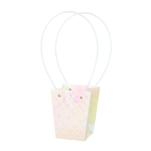 大橋新治商店 ペーパーバッグ エンボス オーロラ D4号 18-134 1個（ご注文単位10個）【直送品】