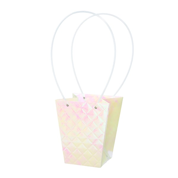 大橋新治商店 ペーパーバッグ エンボス オーロラ D5号 18-135 1個（ご注文単位10個）【直送品】