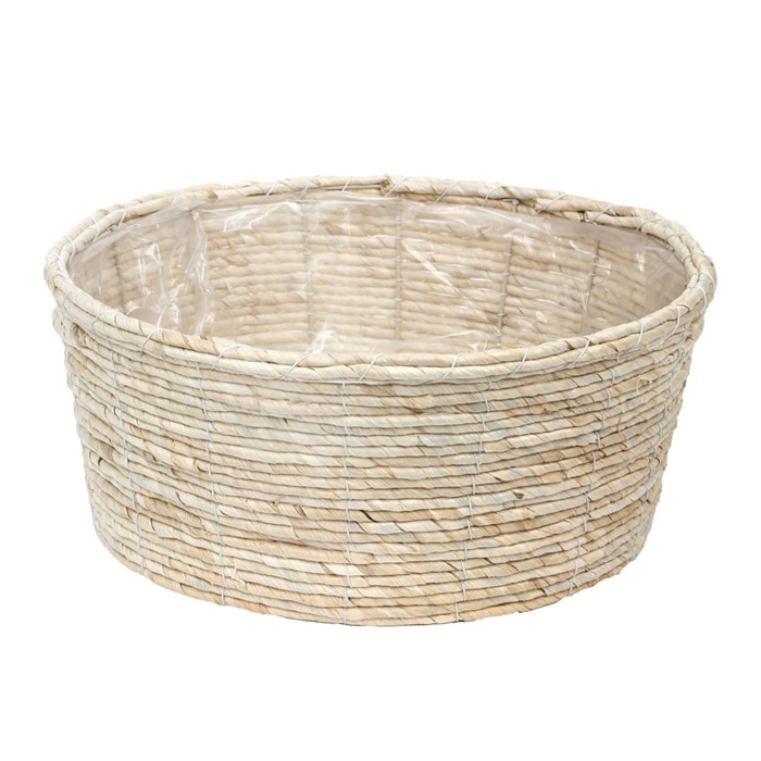 大橋新治商店 マイス寄せ LL メイズ ホワイト 29-387 1個（ご注文単位1個）【直送品】