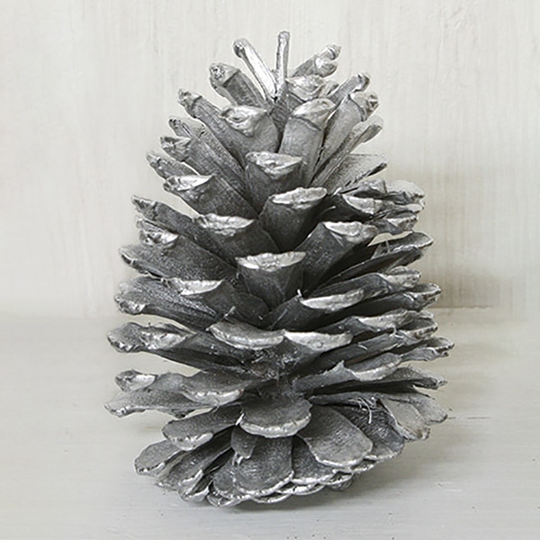 ドライフラワー