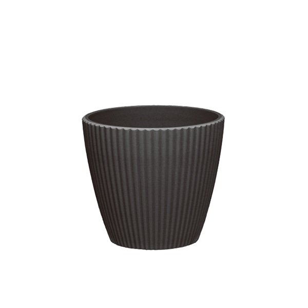 大橋新治商店 プララ　ブラック S 56-541 1個（ご注文単位10個）【直送品】