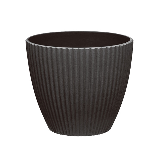 大橋新治商店 プララ　ブラック L 56-543 1個（ご注文単位6個）【直送品】