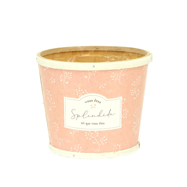 大橋新治商店 ポット　ソフィア　ピンク D5 64-185 1個（ご注文単位1個）【直送品】