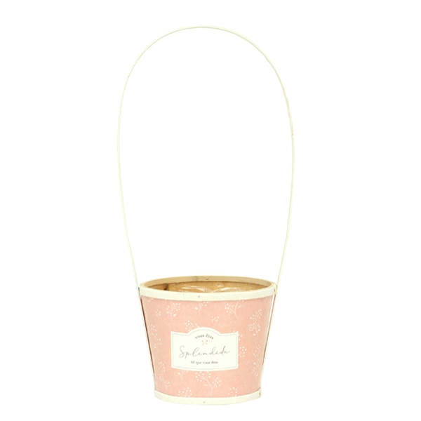 大橋新治商店 ポット　ソフィア　ピンク D5H 64-285 1個（ご注文単位1個）【直送品】