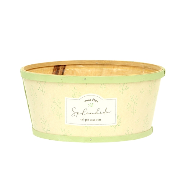 大橋新治商店 ポット　ソフィア　グリーン 寄せL 64-301 1個（ご注文単位5個）【直送品】