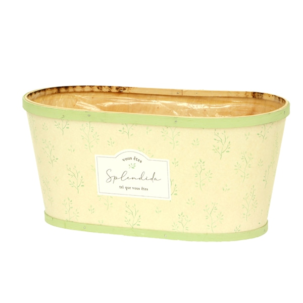 大橋新治商店 ポット　ソフィア　グリーン D5W 64-325 1個（ご注文単位1個）【直送品】