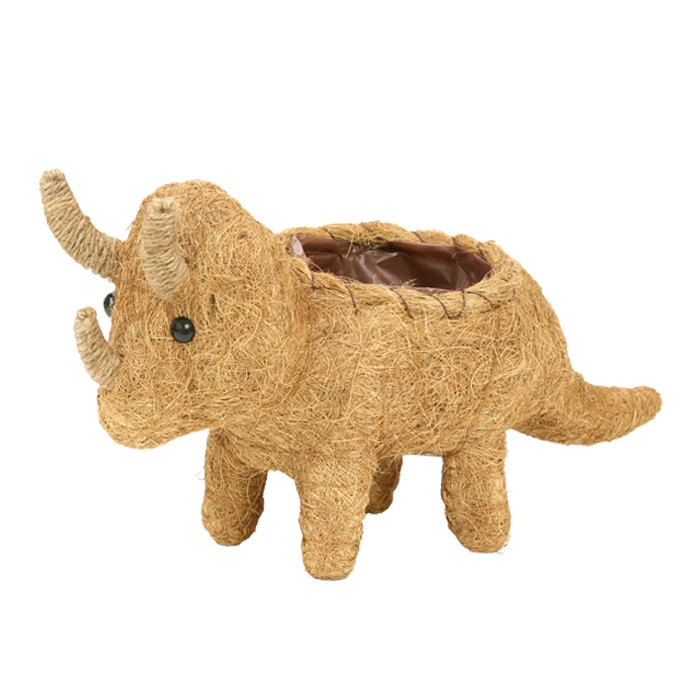 トリケラトプスM