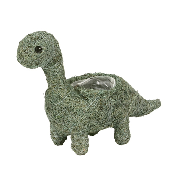 ブロントサウルスS