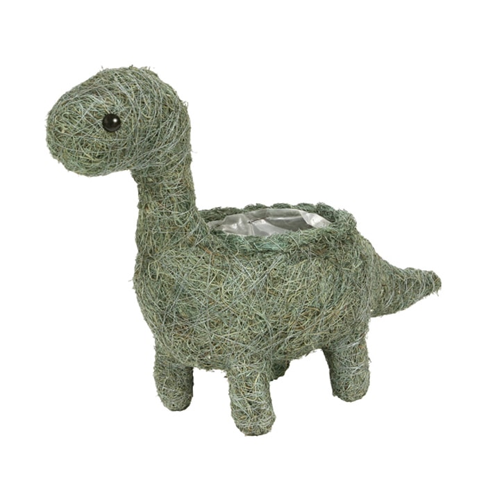 ブロントサウルスM