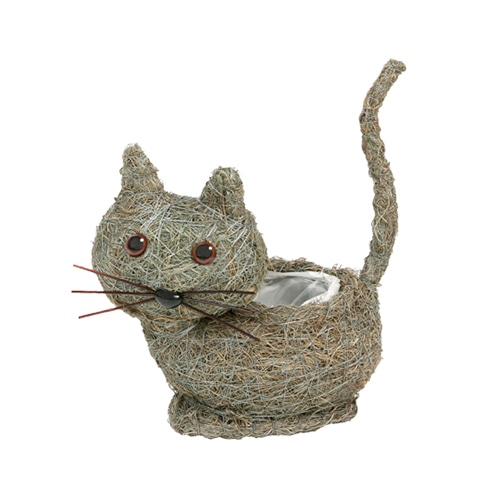 ネコグレーミニ