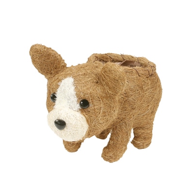 フレンチブル茶ミニ