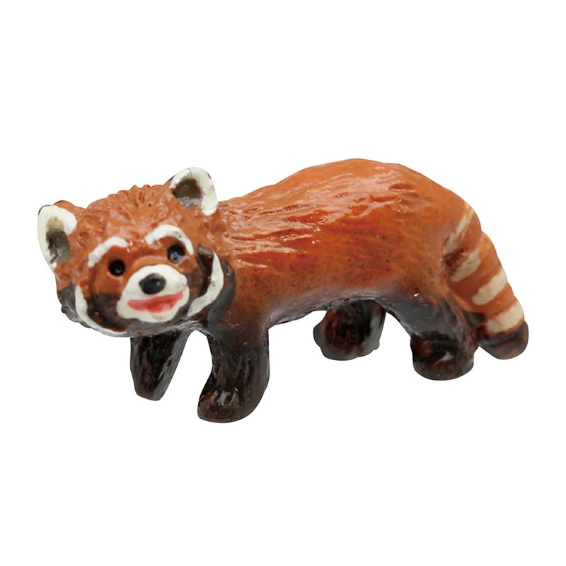 レッサーパンダ