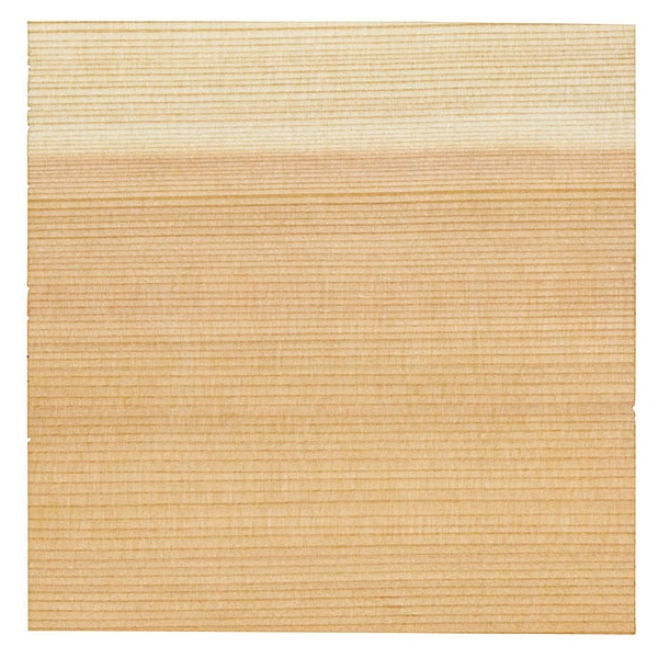 ヤマコー 杉懐敷　5寸　100枚入  24003 1パック（ご注文単位1パック）【直送品】